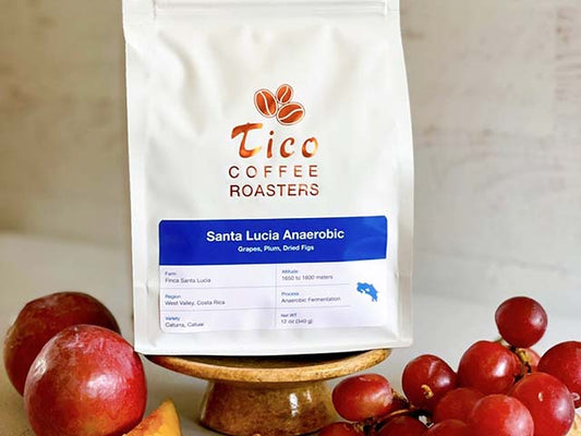 Limited Edition! Santa Lucia Natural Anaerobic Fermentation - Tico Coffee Roasters