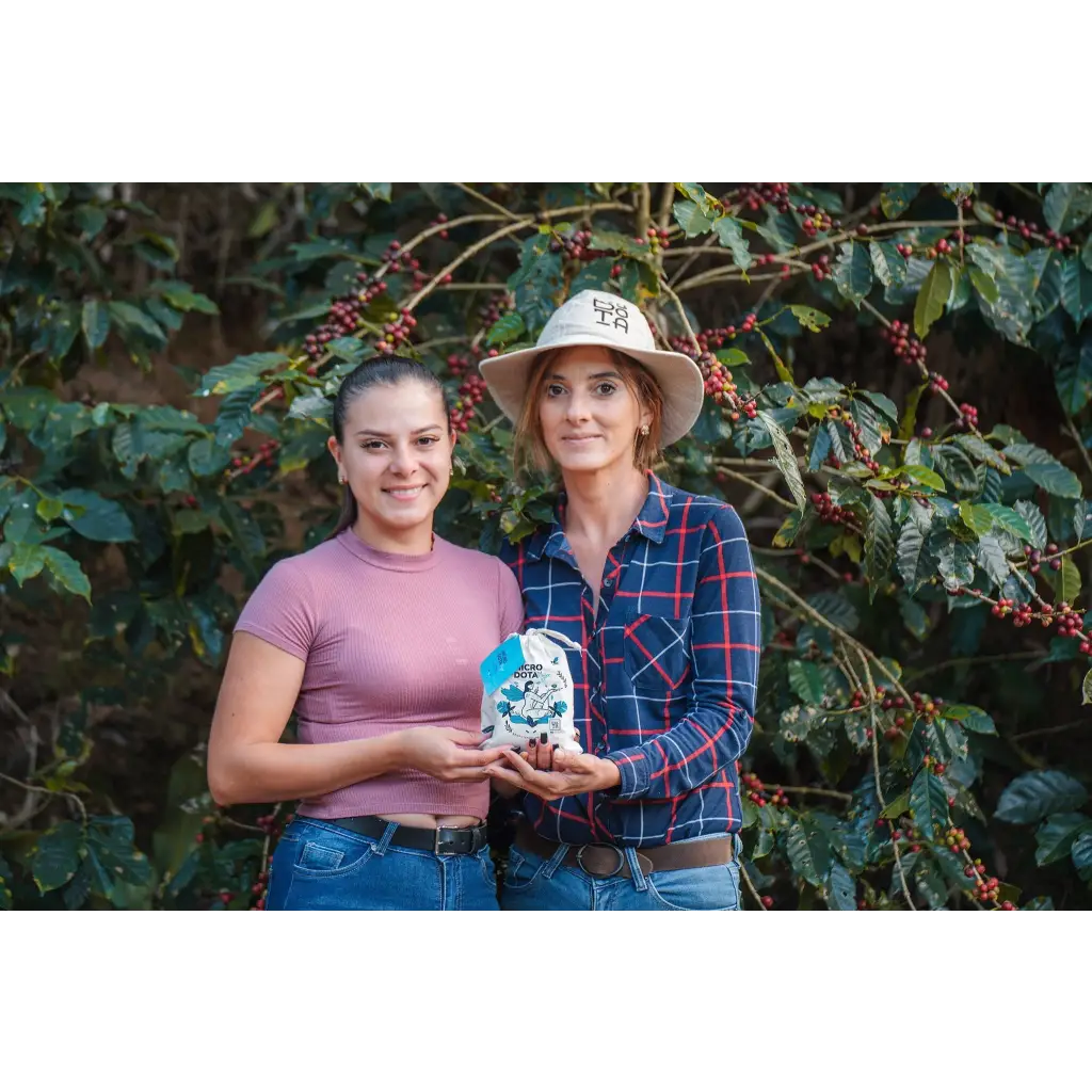 Costa Rica Microdota Mujer Honey - Coffee