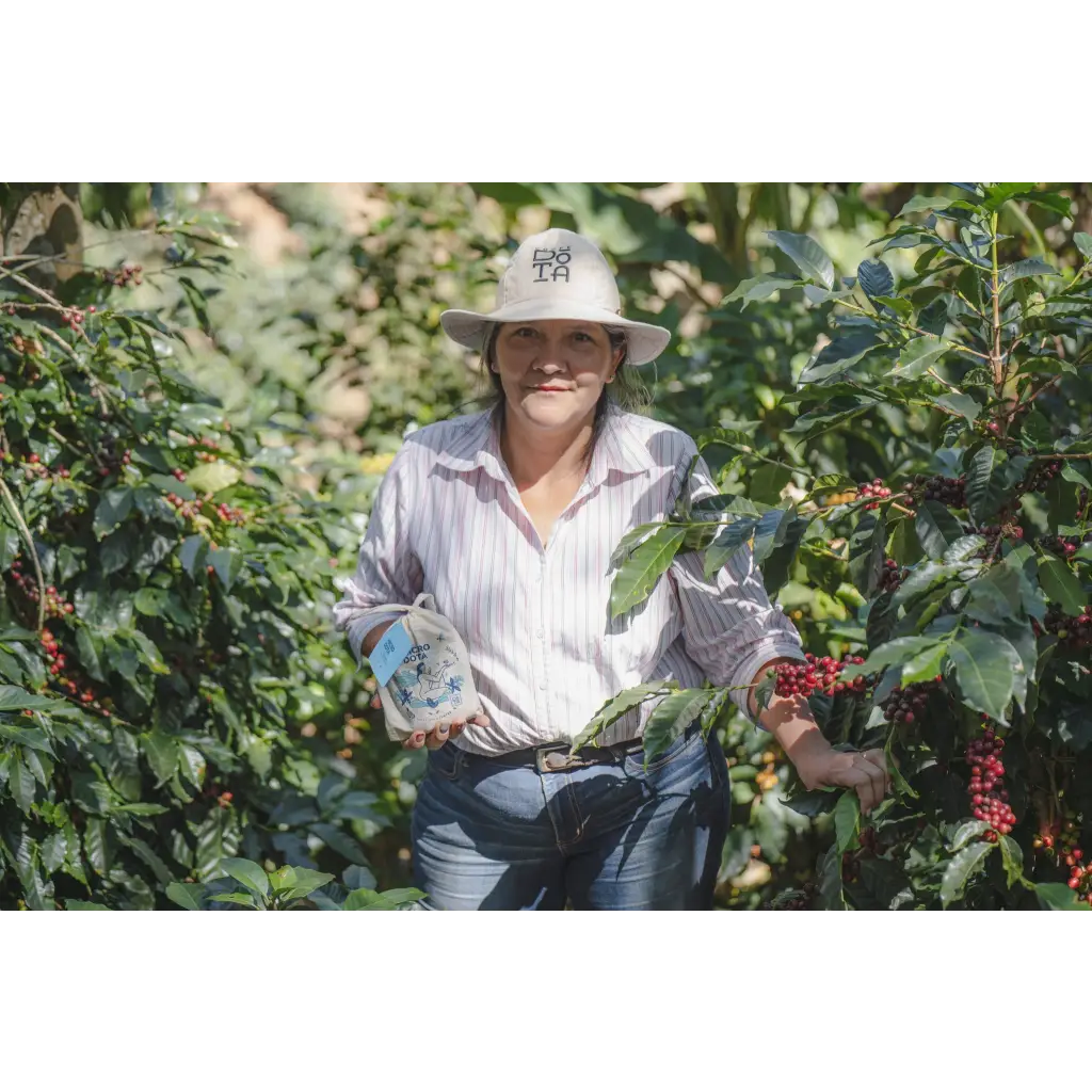 Costa Rica Microdota Mujer Honey - Coffee