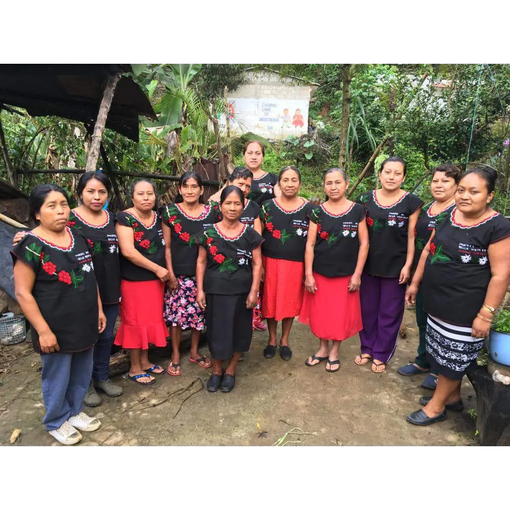 Mexico Bella Vista Mayan Womens Group - Coffee