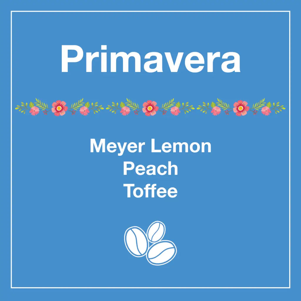 Primavera