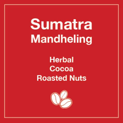 Sumatra Mandheling 12 oz Retail Bag Case for Resale - Tico Coffee Roasters
