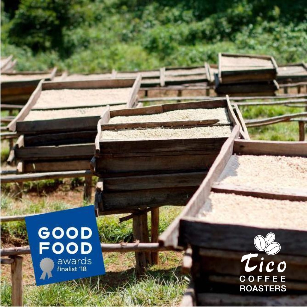 Ethiopia Gedeb Gotiti - Tico Coffee Roasters