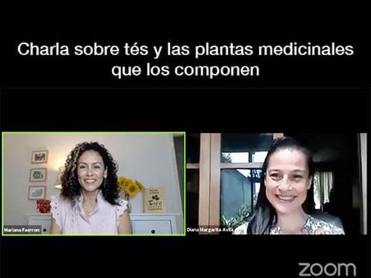 Chat about tea and ingredients with medicinal benefits (in Spanish) - Tico Coffee Roasters