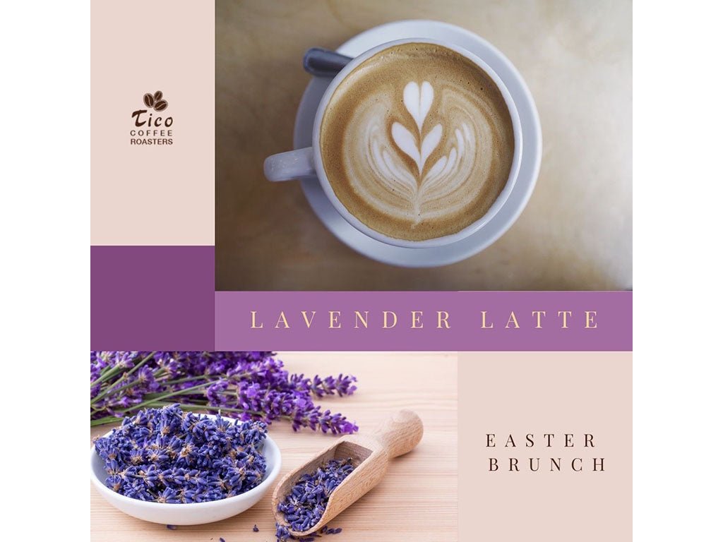Lavender Latte with the Primavera blend - Tico Coffee Roasters