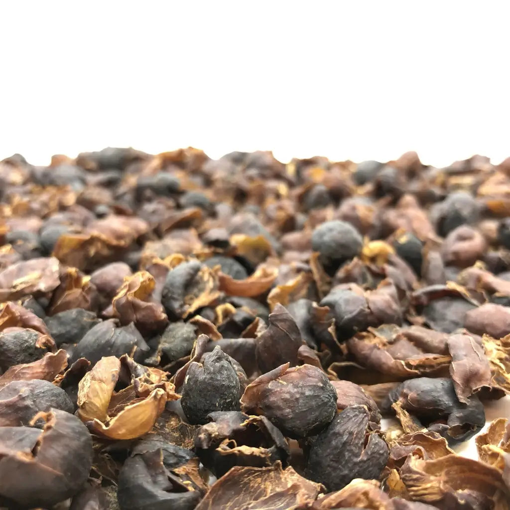 Cascara Coffee Cherry Tea - Coffee