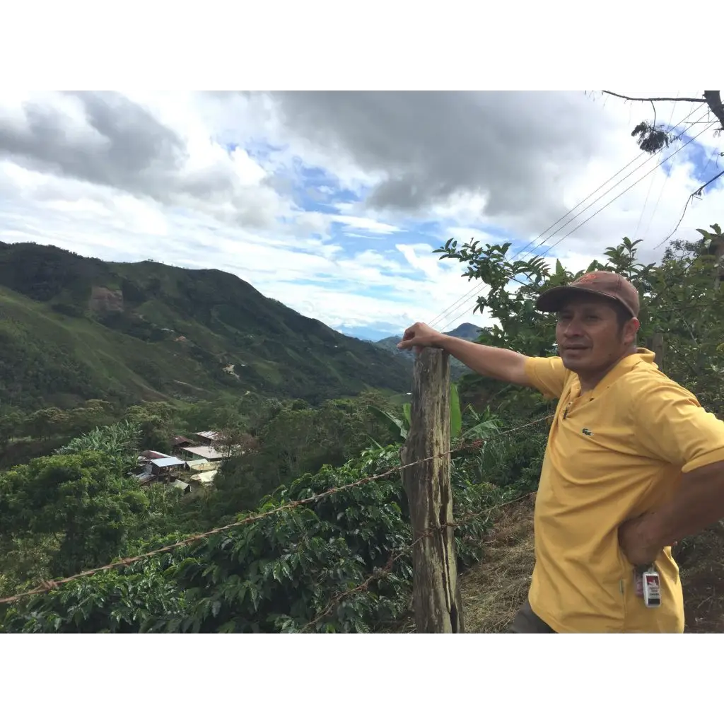 Colombia Huila Natural - Coffee