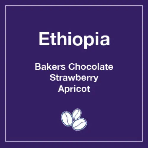 Ethiopia Sidamo (Wholesale) - Tico Coffee Roasters