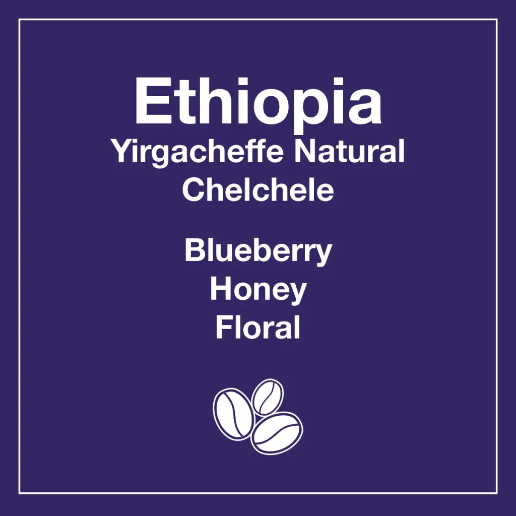 Ethiopia Yirgacheffe Natural Chelchele (Wholesale)