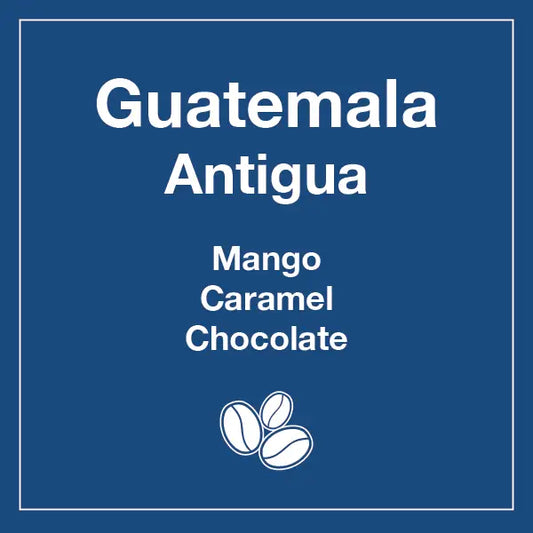 Guatemala Antigua (Wholesale) - Tico Coffee Roasters