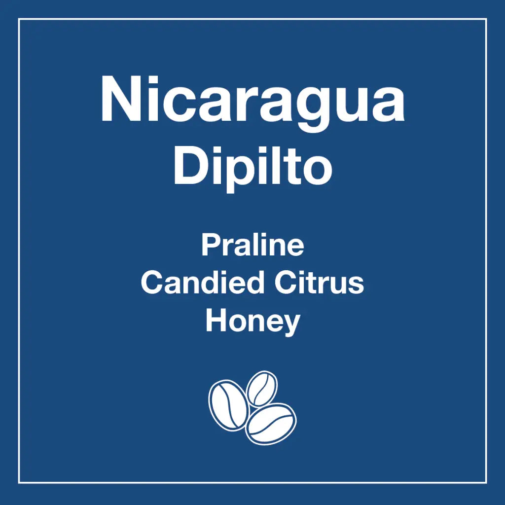 Nicaragua Dipilto (Wholesale)