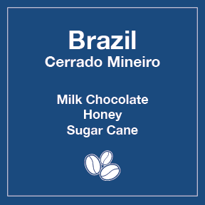 Brazil Cerrado Mineiro 12 oz Retail Bag Case for Resale - Tico Coffee Roasters