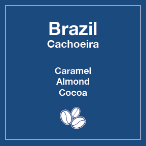 Brazil Cachoeira (Wholesale) - Tico Coffee Roasters