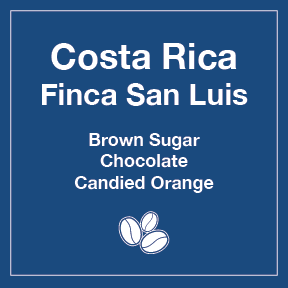 Costa Rica Finca San Luis 12 oz Retail Bag Case for Resale - Tico Coffee Roasters