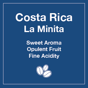Costa Rica La Minita 12 oz Retail Bag Case for Resale - Tico Coffee Roasters