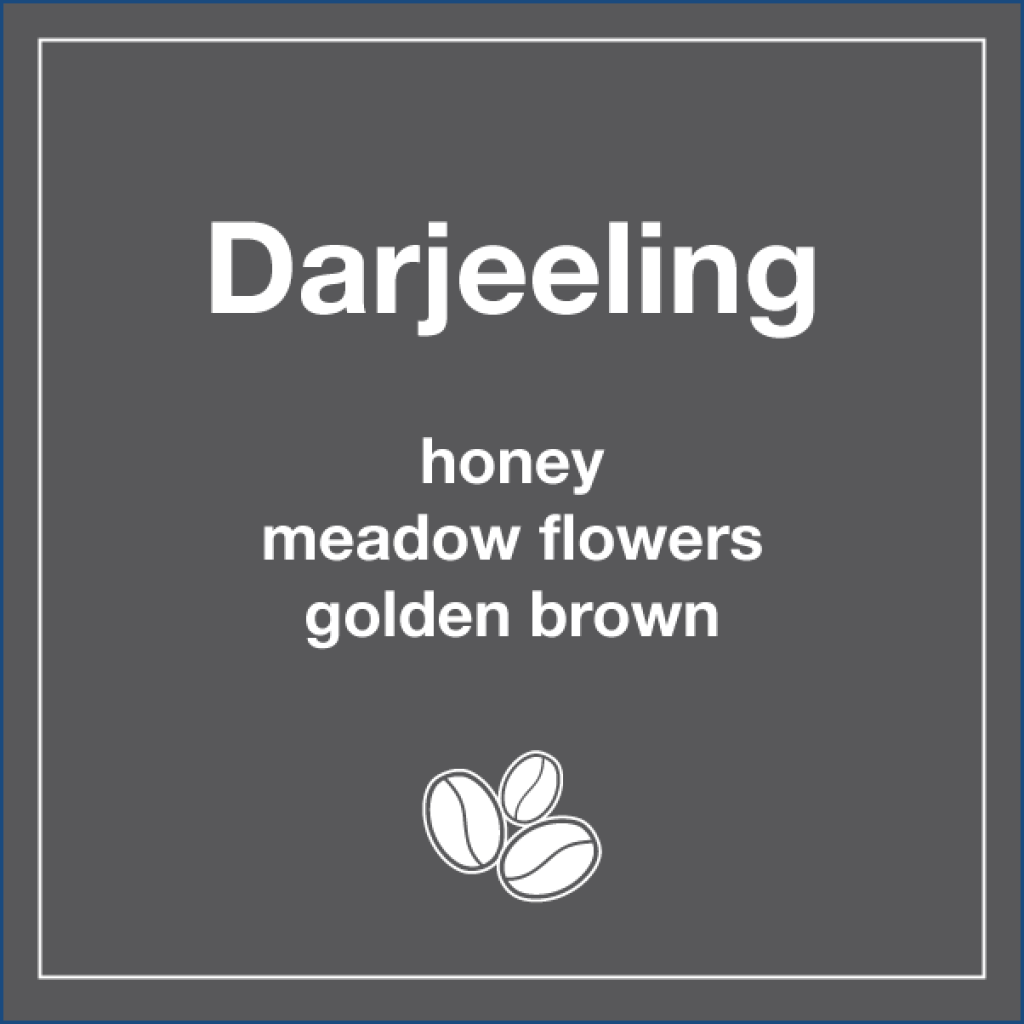 Darjeeling FTGFOP1 - Tico Coffee Roasters