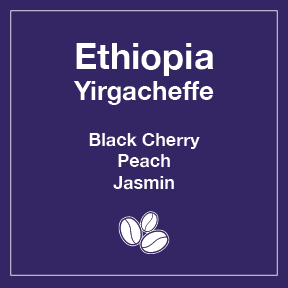 Ethiopia Yirgacheffe Natural 12 oz Retail Bag Case for Resale - Tico Coffee Roasters