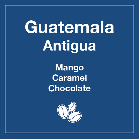 Guatemala Antigua (Wholesale) - Tico Coffee Roasters