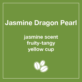 Jasmine Dragon Pearl Tea (Wholesale) - Tico Coffee Roasters