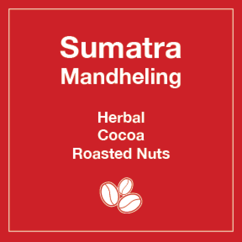 Sumatra Mandheling - Takengon - Tico Coffee Roasters