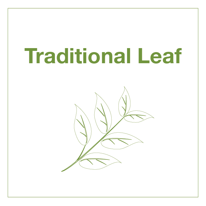 Traditional Leaf Tea Subscription - Tico Coffee Roasters